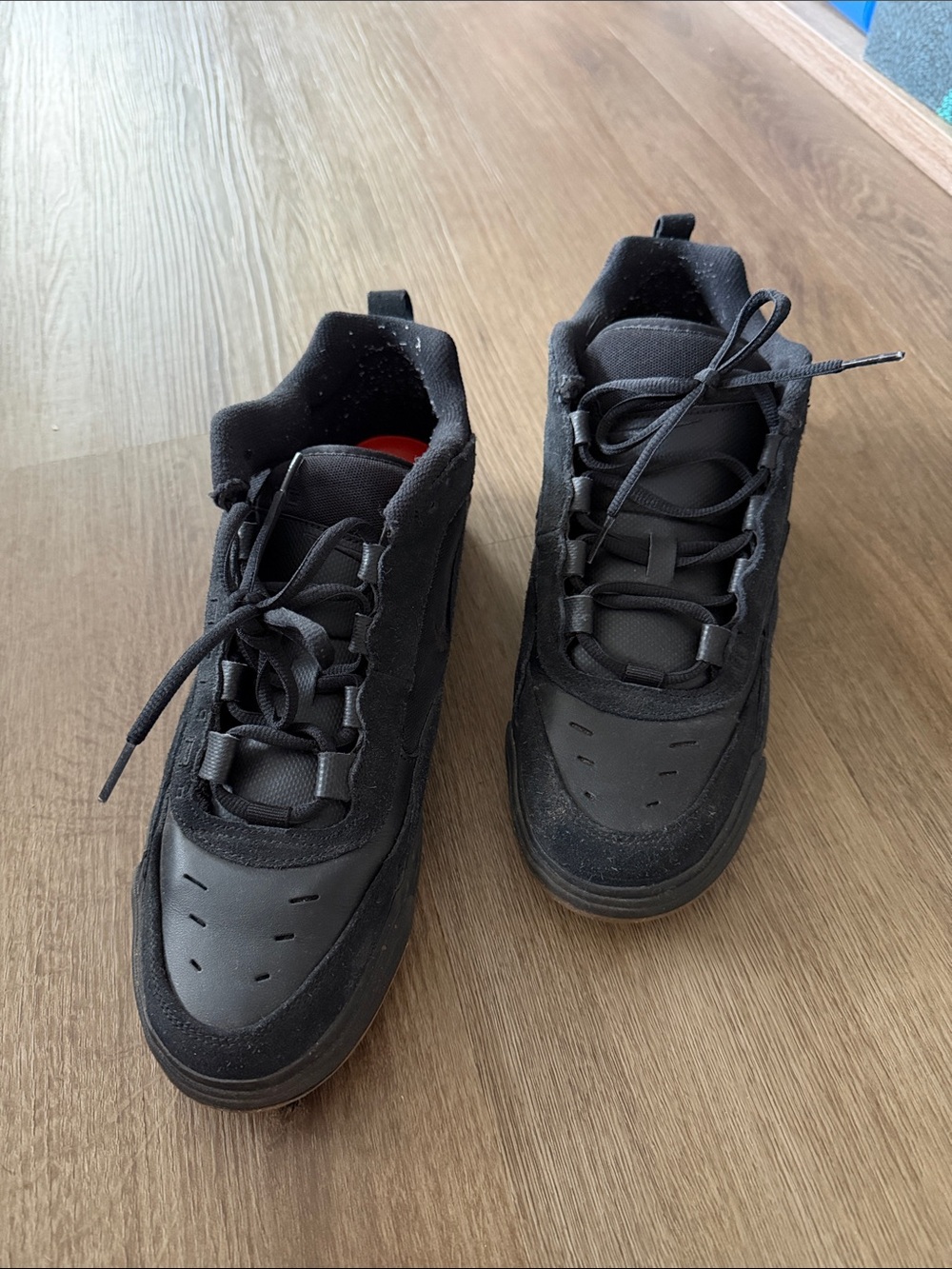 Nike SB Ishod 2